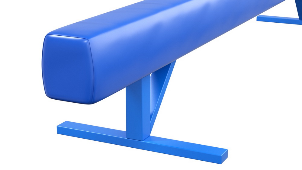 Бревно гимнастическое низкое мягкое (04.10.07)