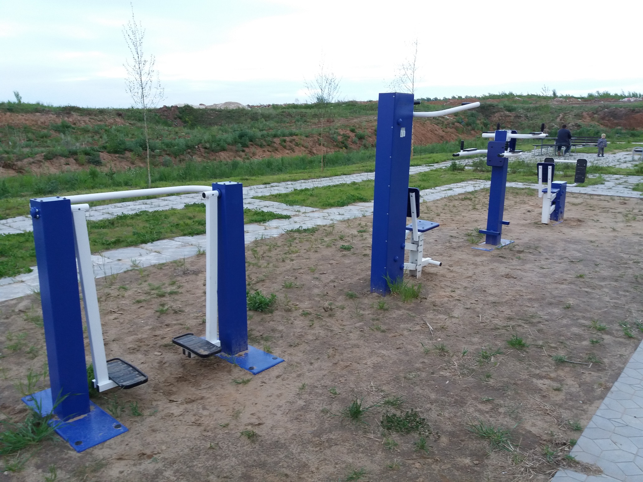 Тренажер уличный ШАГОВЫЙ Romana 207.31.05