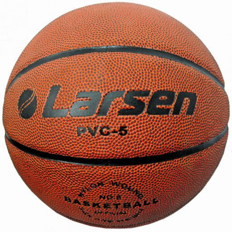 Мяч баскетбольный Larsen PVC6