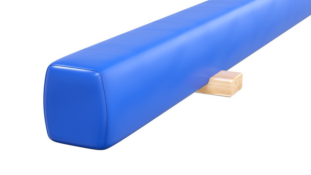 Бревно гимнастическое напольное мягкое (04.10.09)