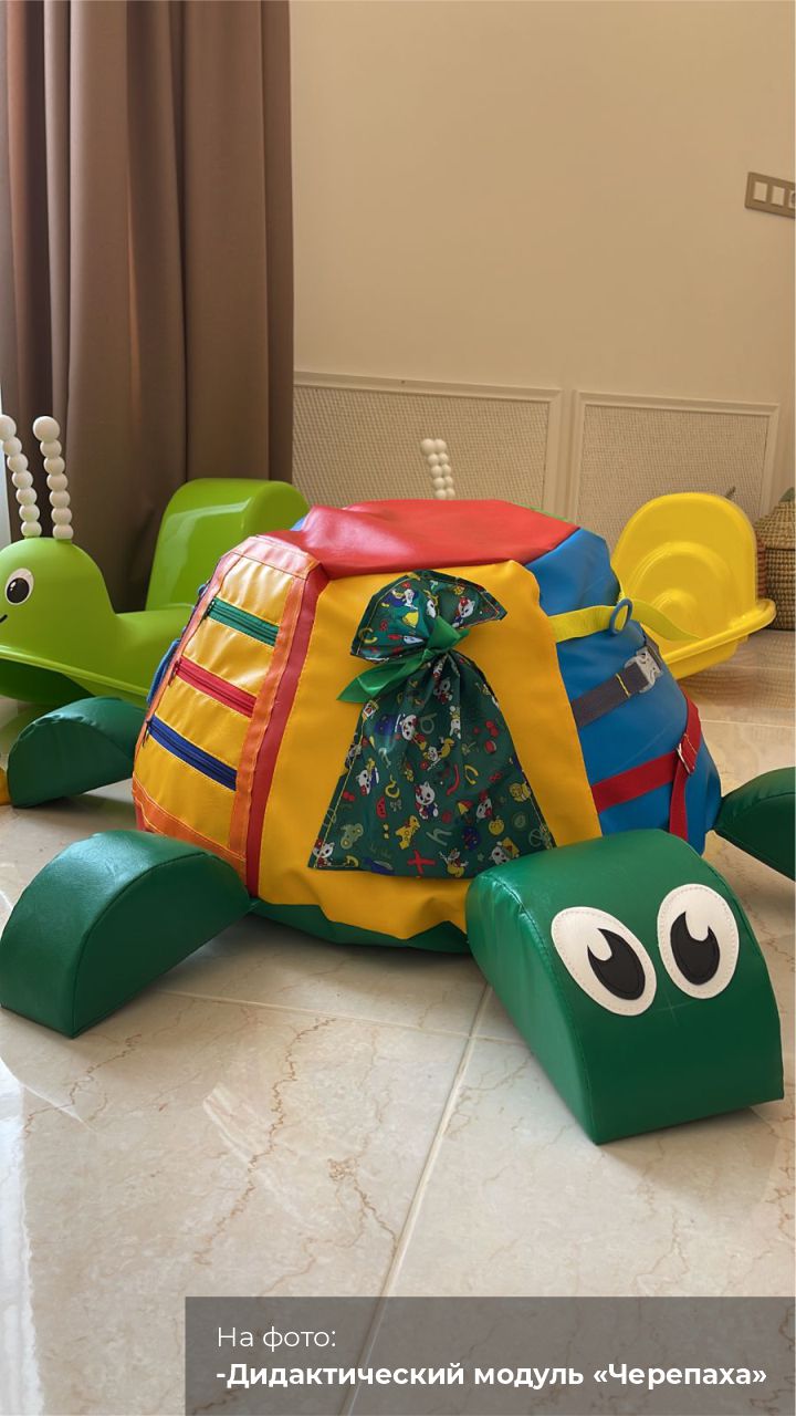 Дидактический модуль ЧЕРЕПАХА Romana (ДМФ-МК-01.95.07)