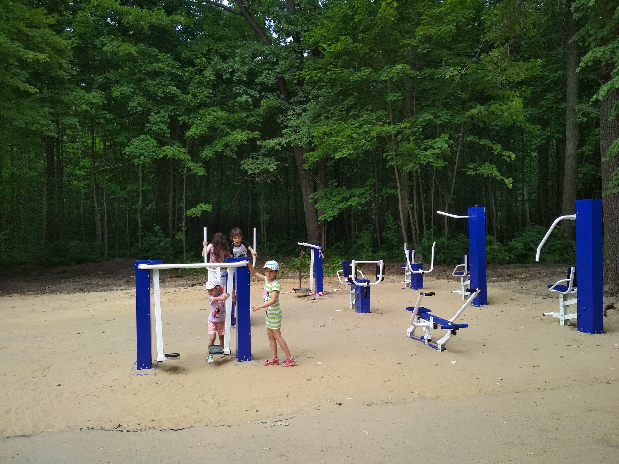 Тренажер уличный ШАГОВЫЙ Romana 207.31.05