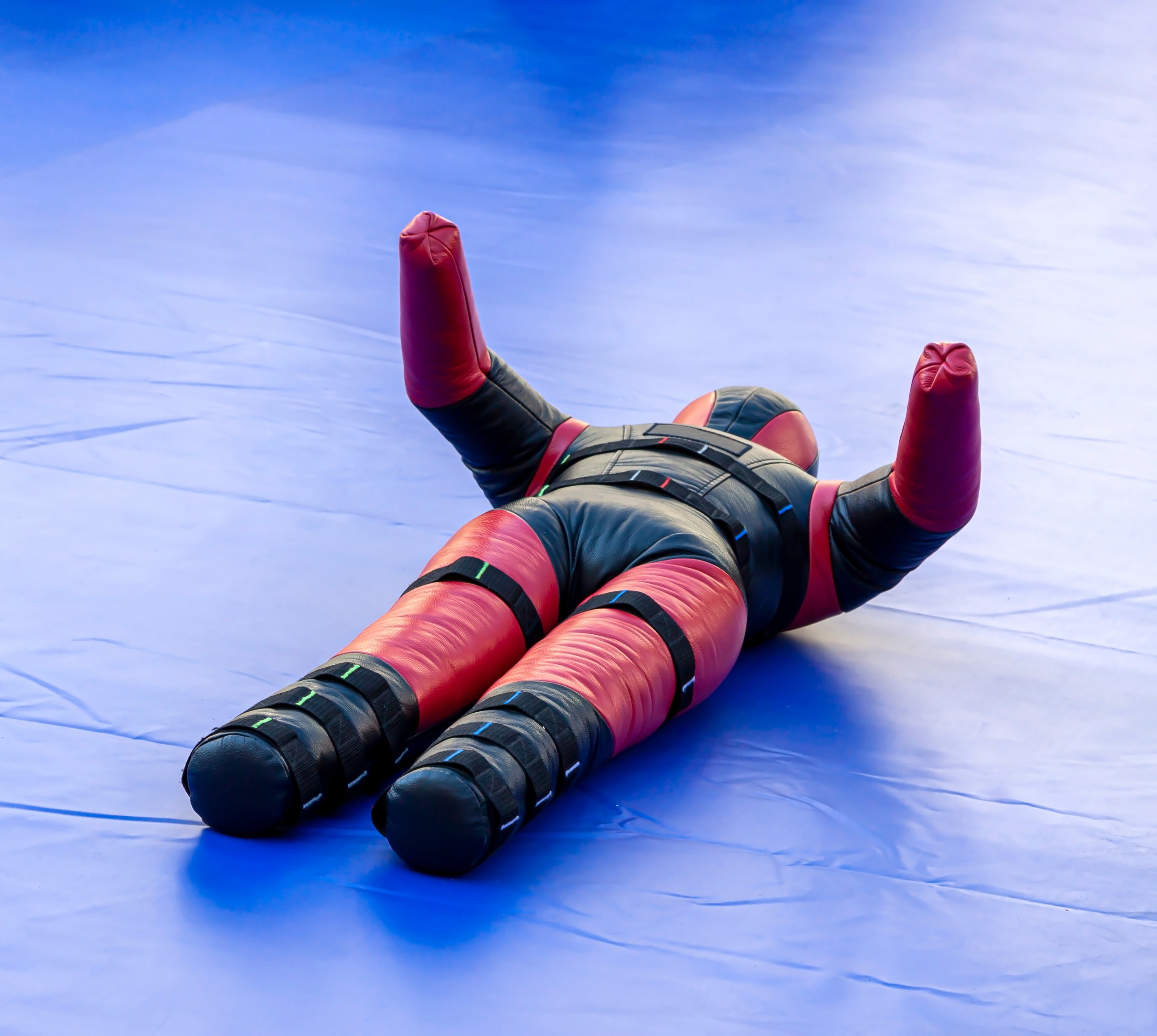 Манекены для борьбы