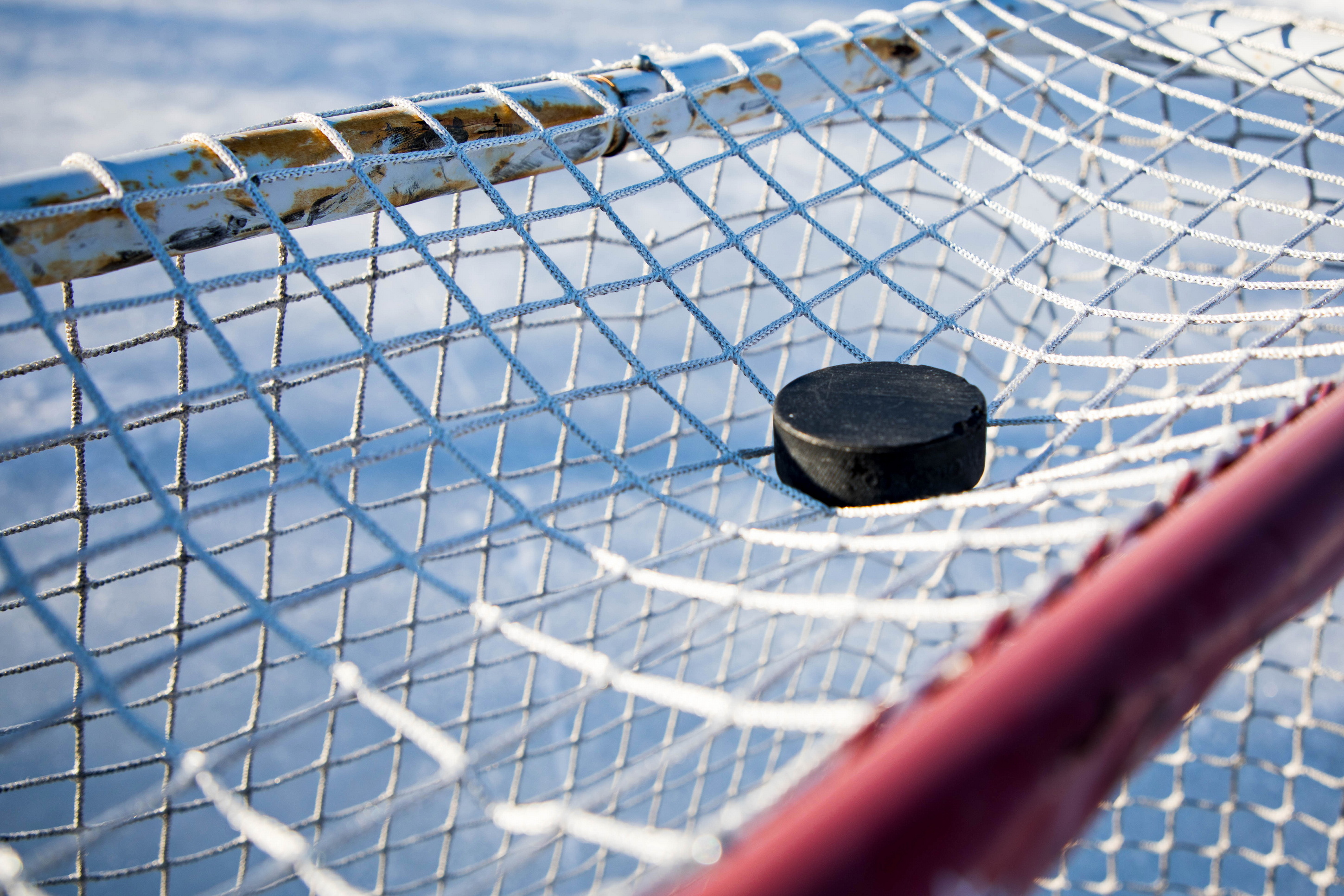 Сетки для хоккейных ворот
