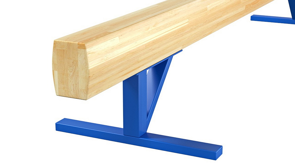 Бревно гимнастическое низкое (04.10.01)