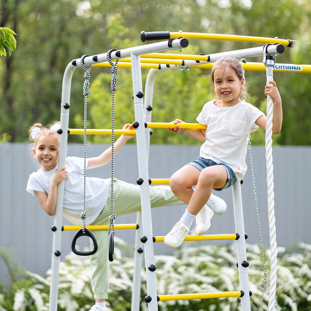 Детский спортивный комплекс для дачи ЛЕСНАЯ ПОЛЯНА-3 Romana 103.26.05 (без качелей)