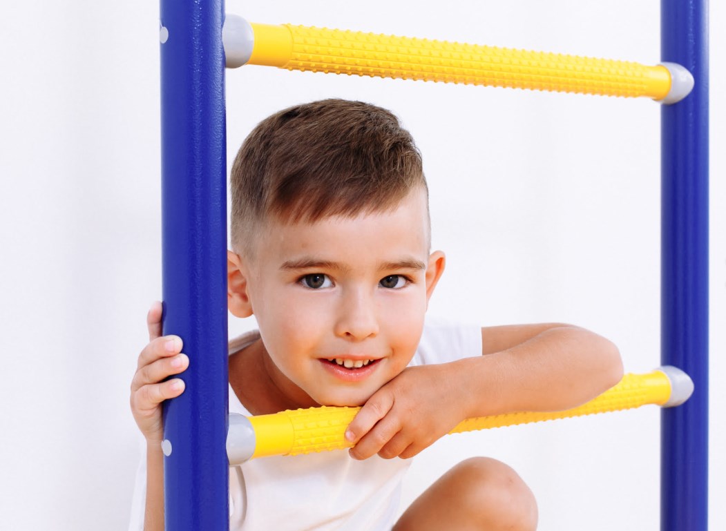 Шведская стенка Next Top ROMANA (01.21.8.06.490.03.00-24) синяя слива