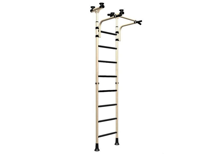 Детский спортивный комплекс ДСКМ Тинейджер R8" (ДСКМ-2-8.06.Г2.410.01-01) обливные белый антик золото/чёрный распорный