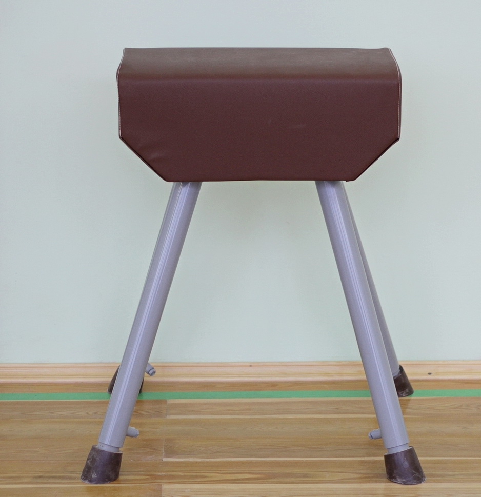 Козел гимнастический (04.900)