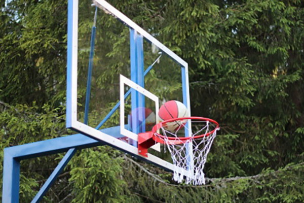 Щит баскетбольный профессиональный из оргстекла толщ. 10 мм (для стоек)(01.2001)