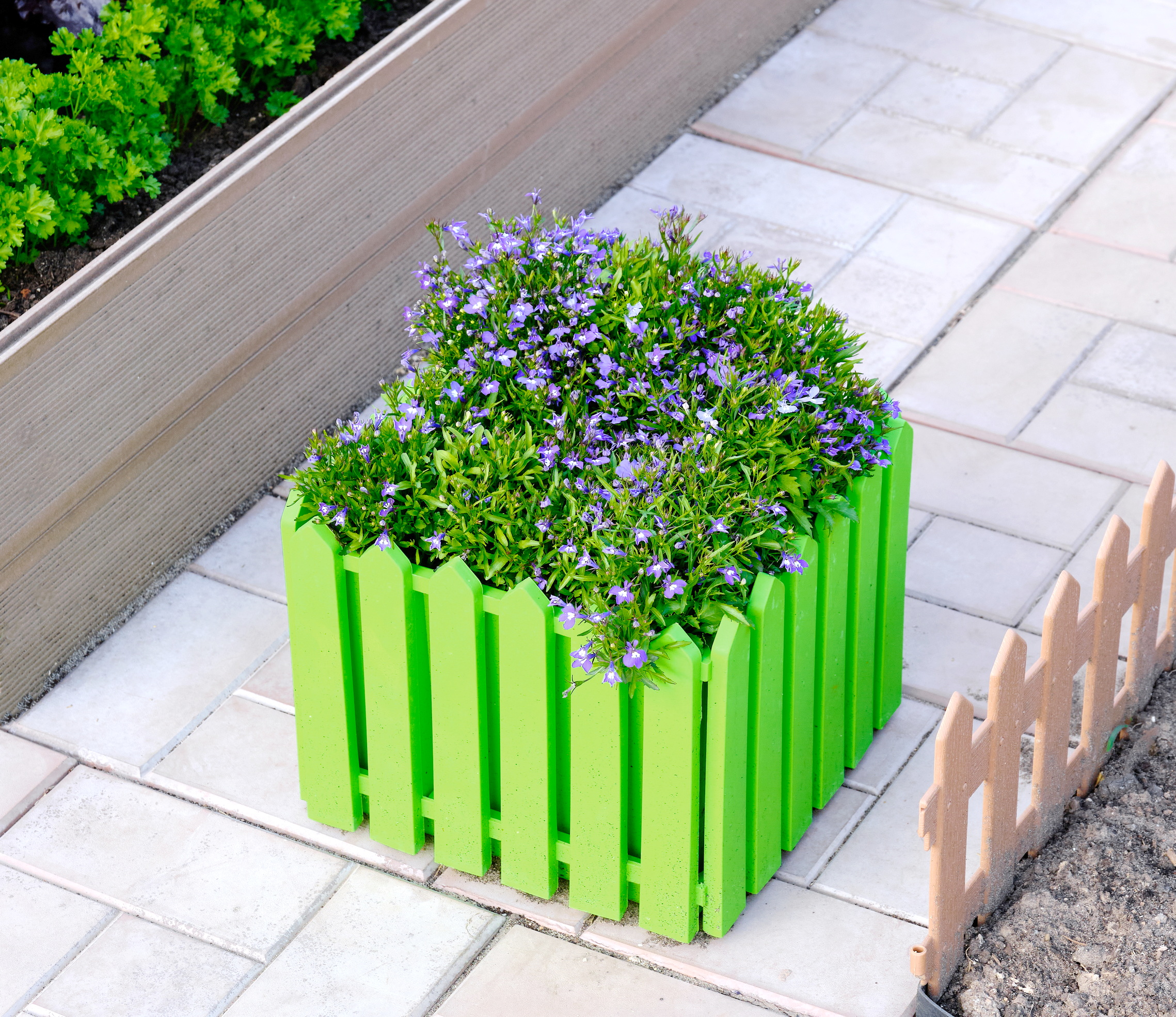 Цветочницы