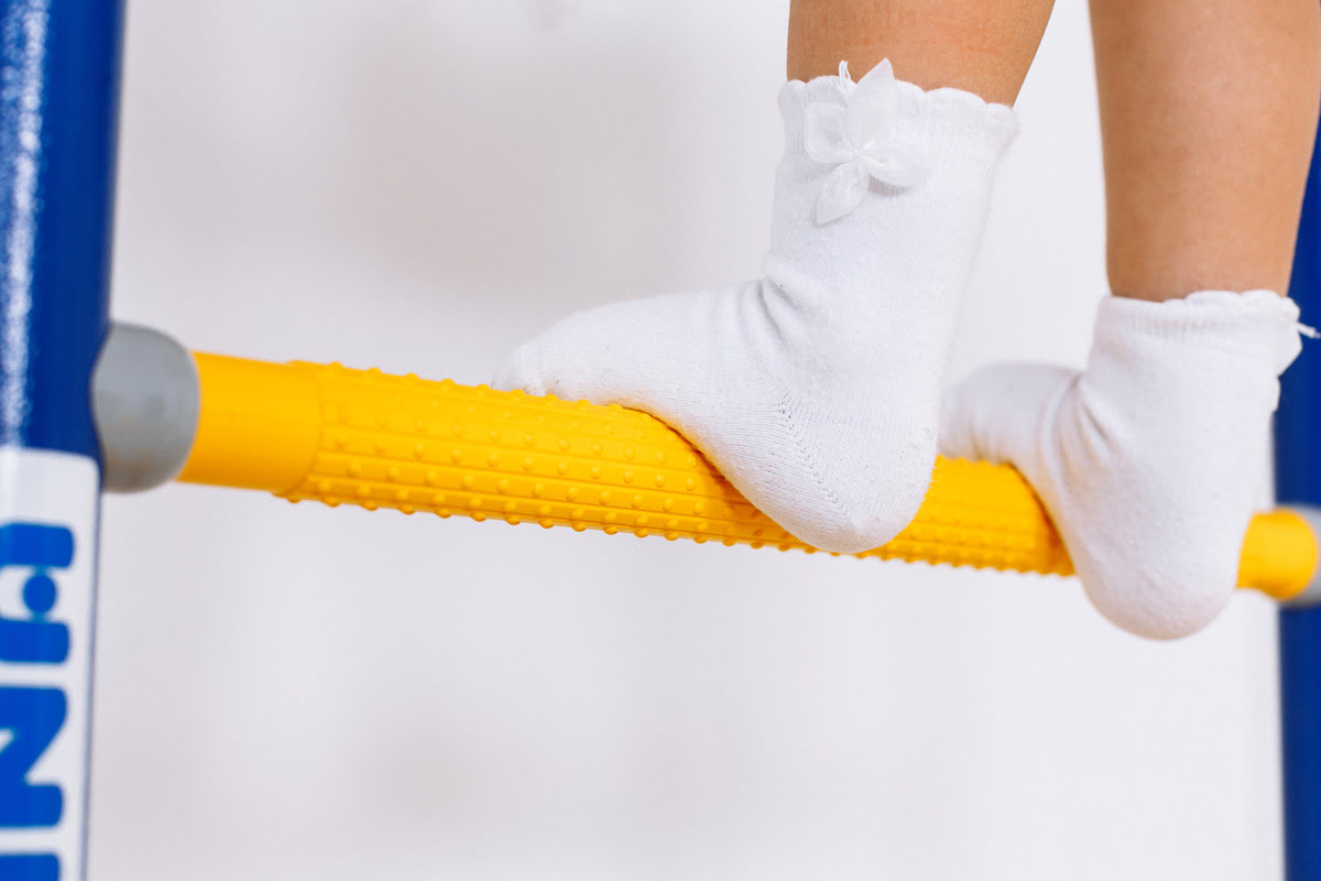 Шведская стенка R2 ROMANA (01.20.7.06.490.02.00-11) синяя слива