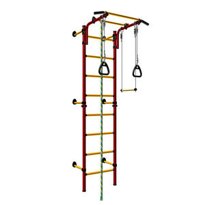 Детский спортивный комплекс ДСКМ "Комета next 1" (ДСКМ-2С-8.06.Г1.410.01-24) обливные красный/жёлтый